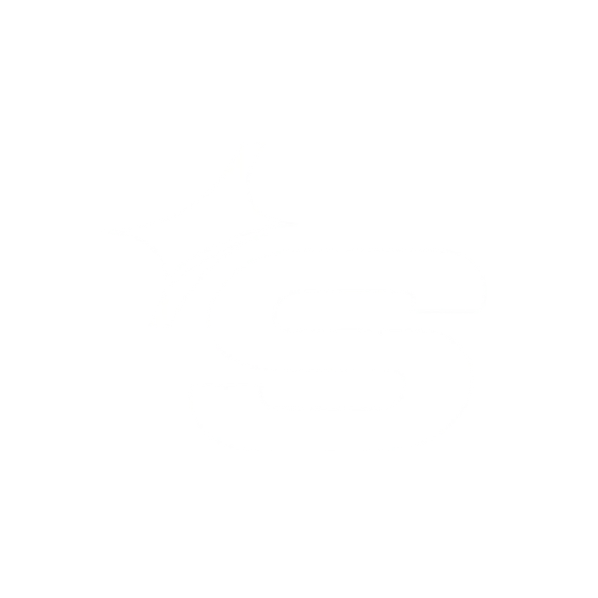 Socété Des Arts